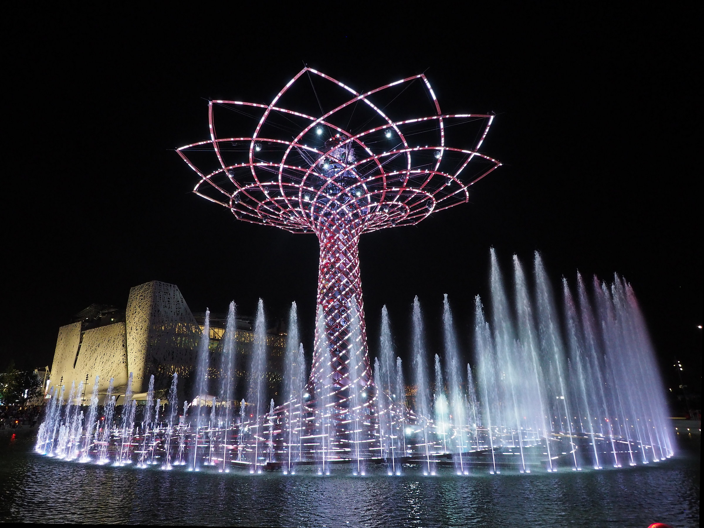 expo - Tree of Life