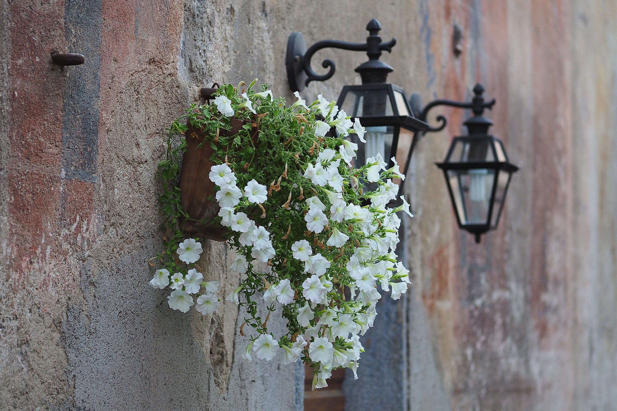 the streets of Azzate