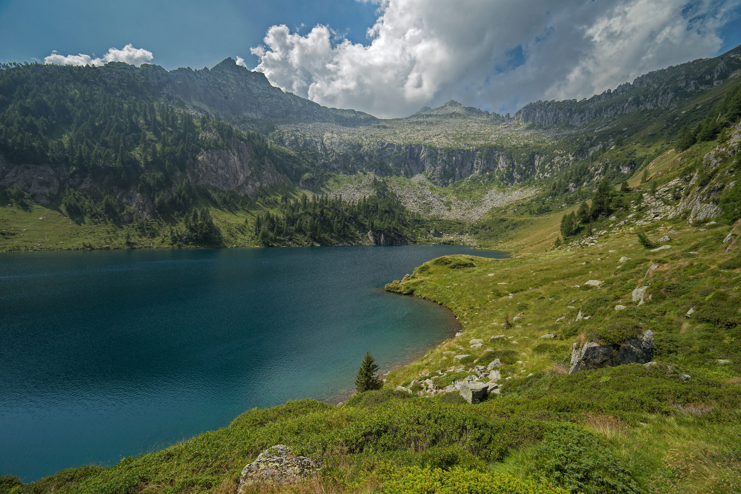 lago di campo - trentino