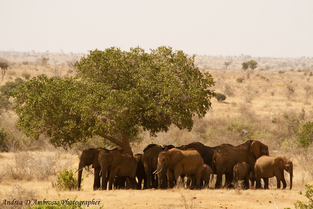 A place in the shade ..