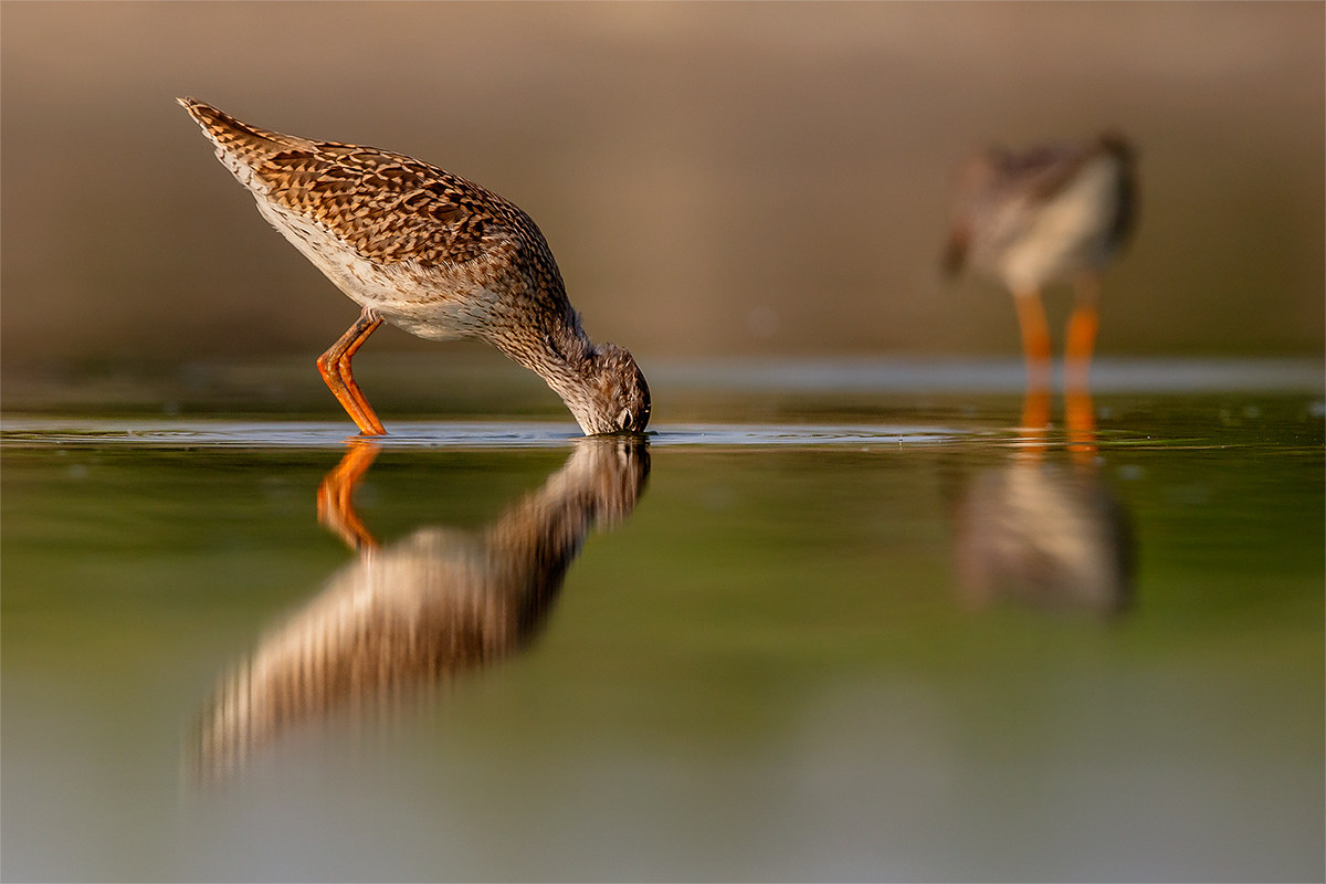 Uno Sguardo dall'Altra Parte