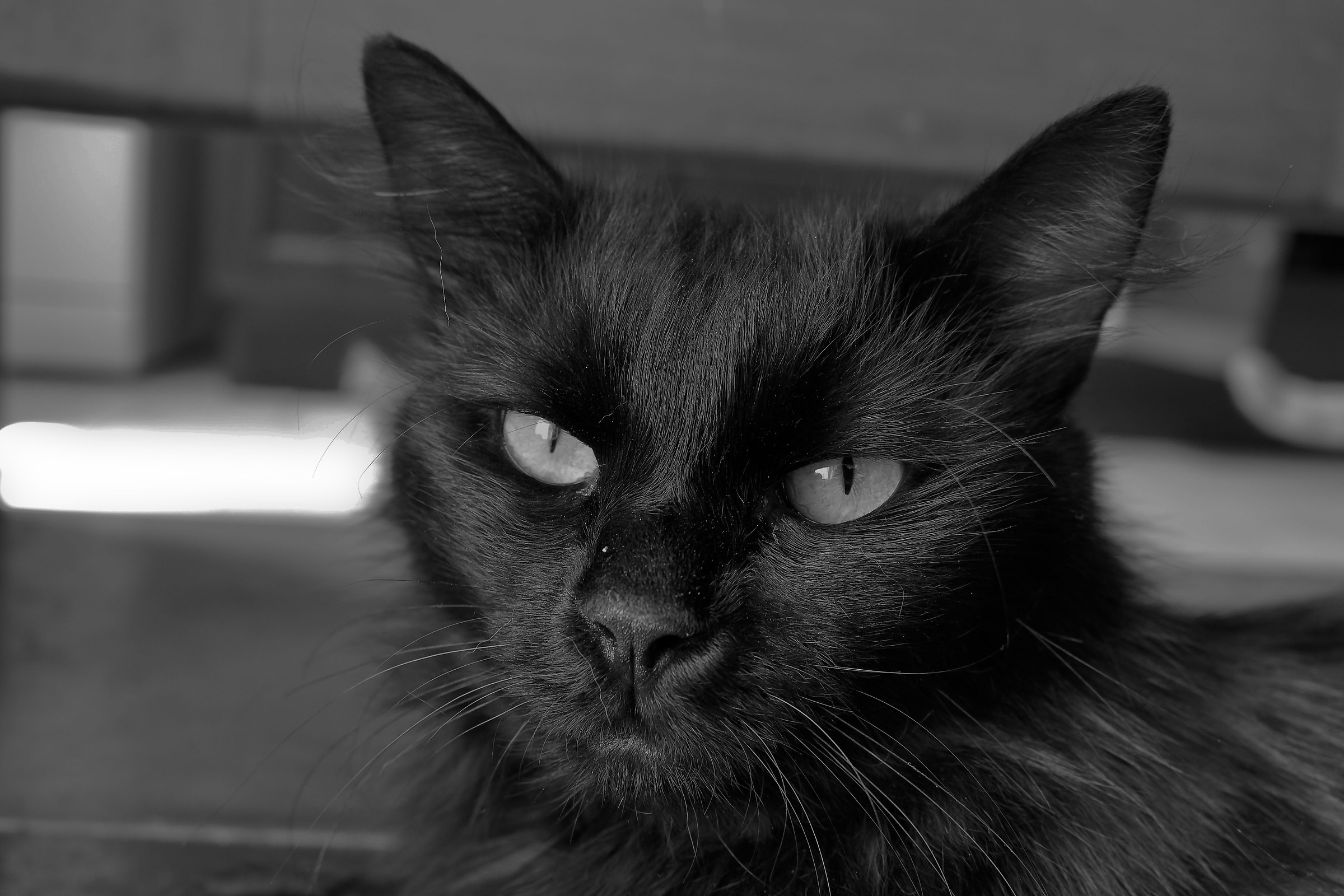 Miles Davis e i suoi pensieri