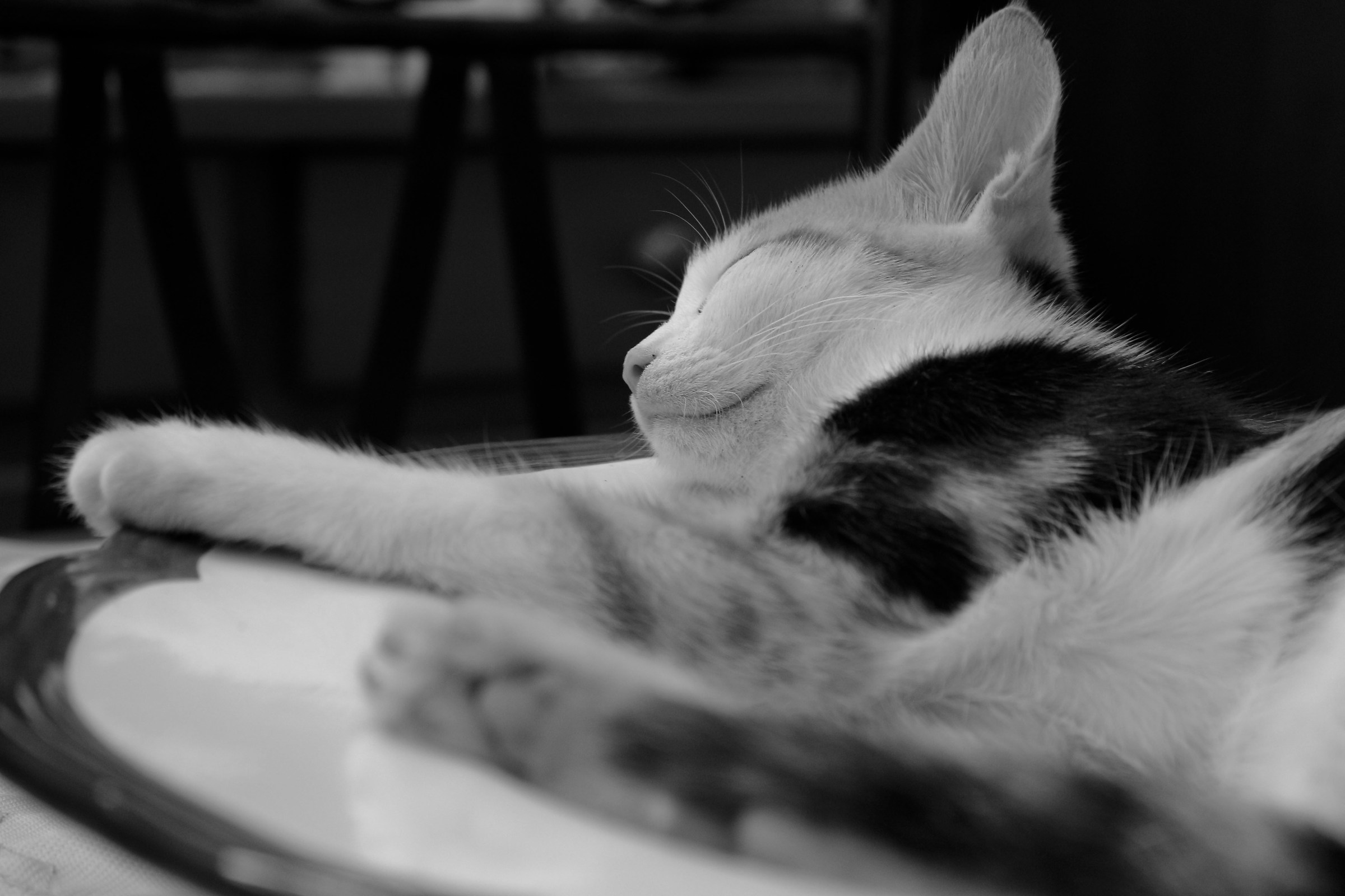 Riposino pomeridiano