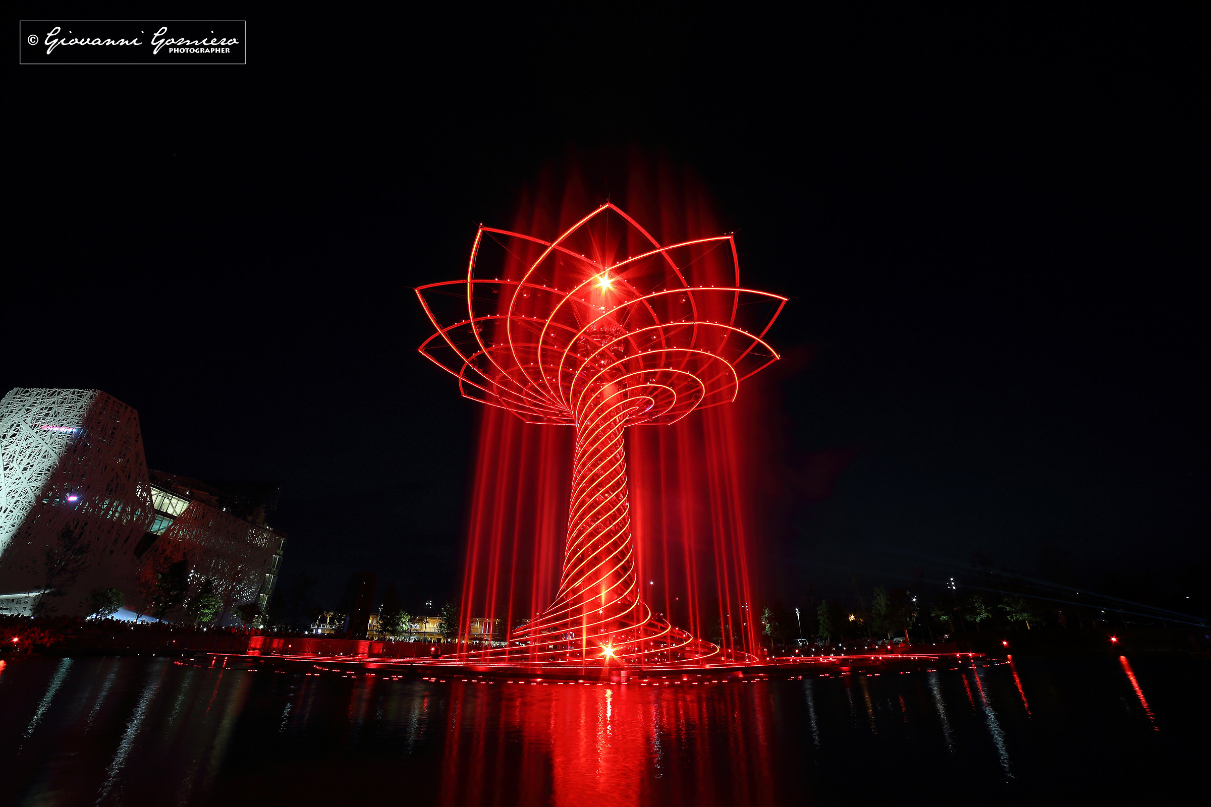 Tree of Life Expo2015 03