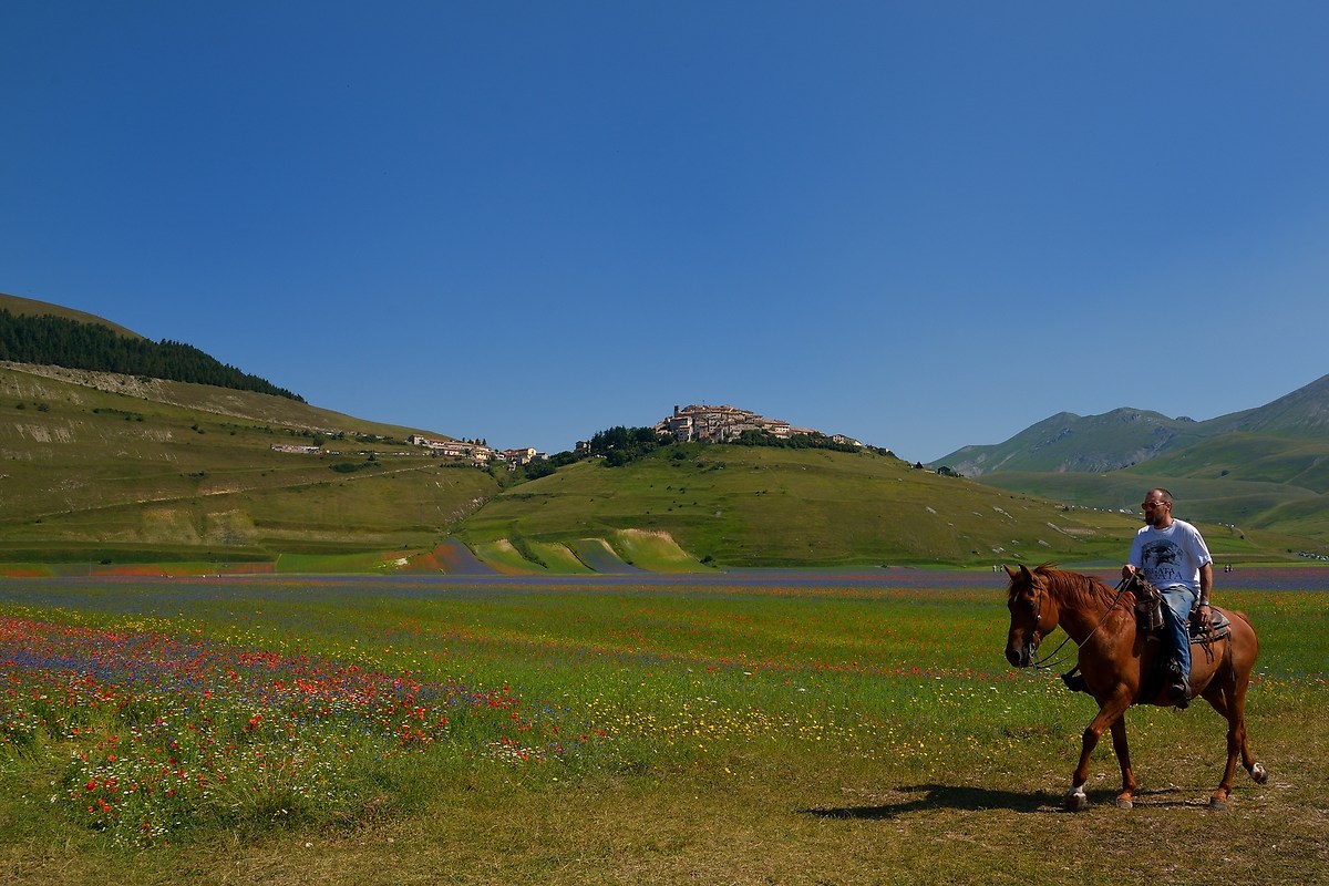 A cavallo sulla piana