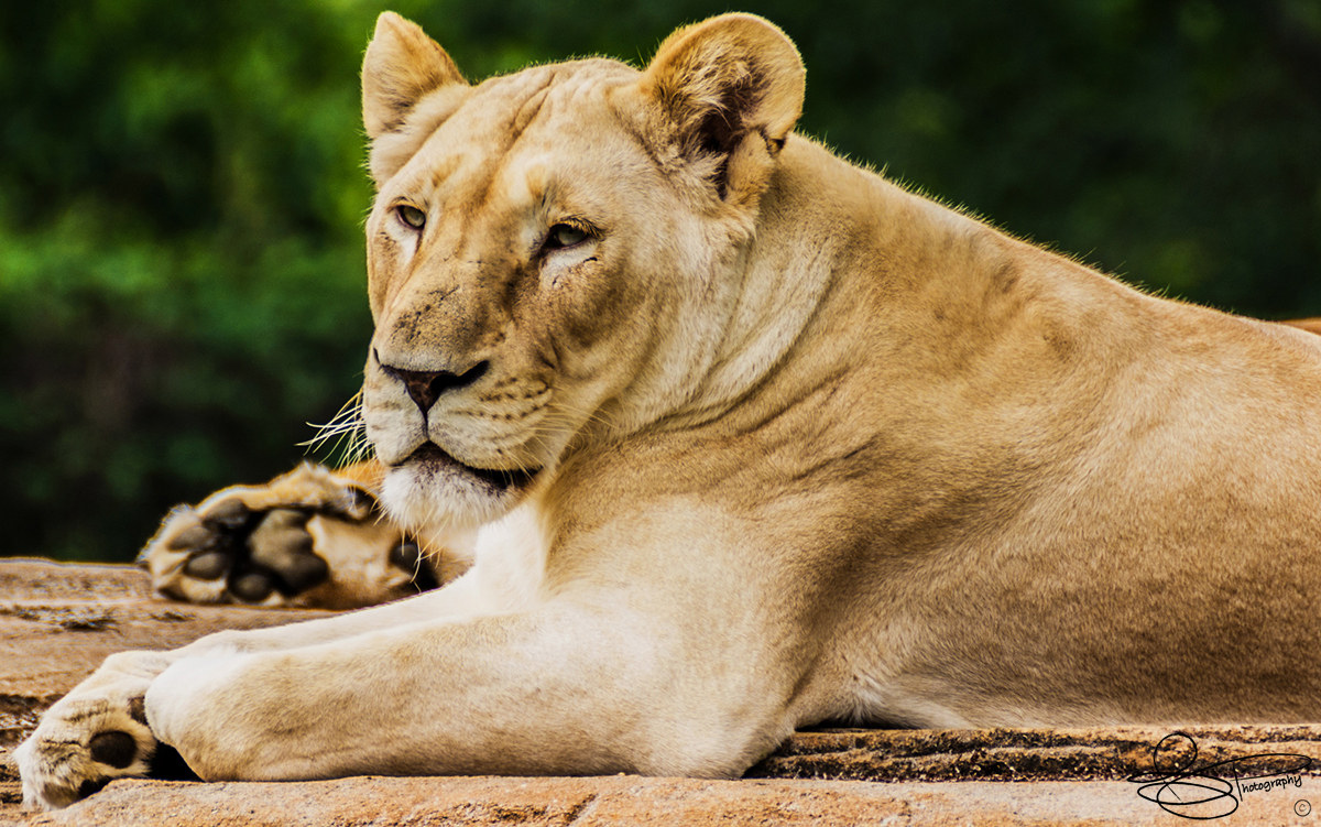La stanchezza si vede dagli occhi