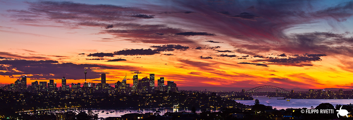::Sydney Skyline