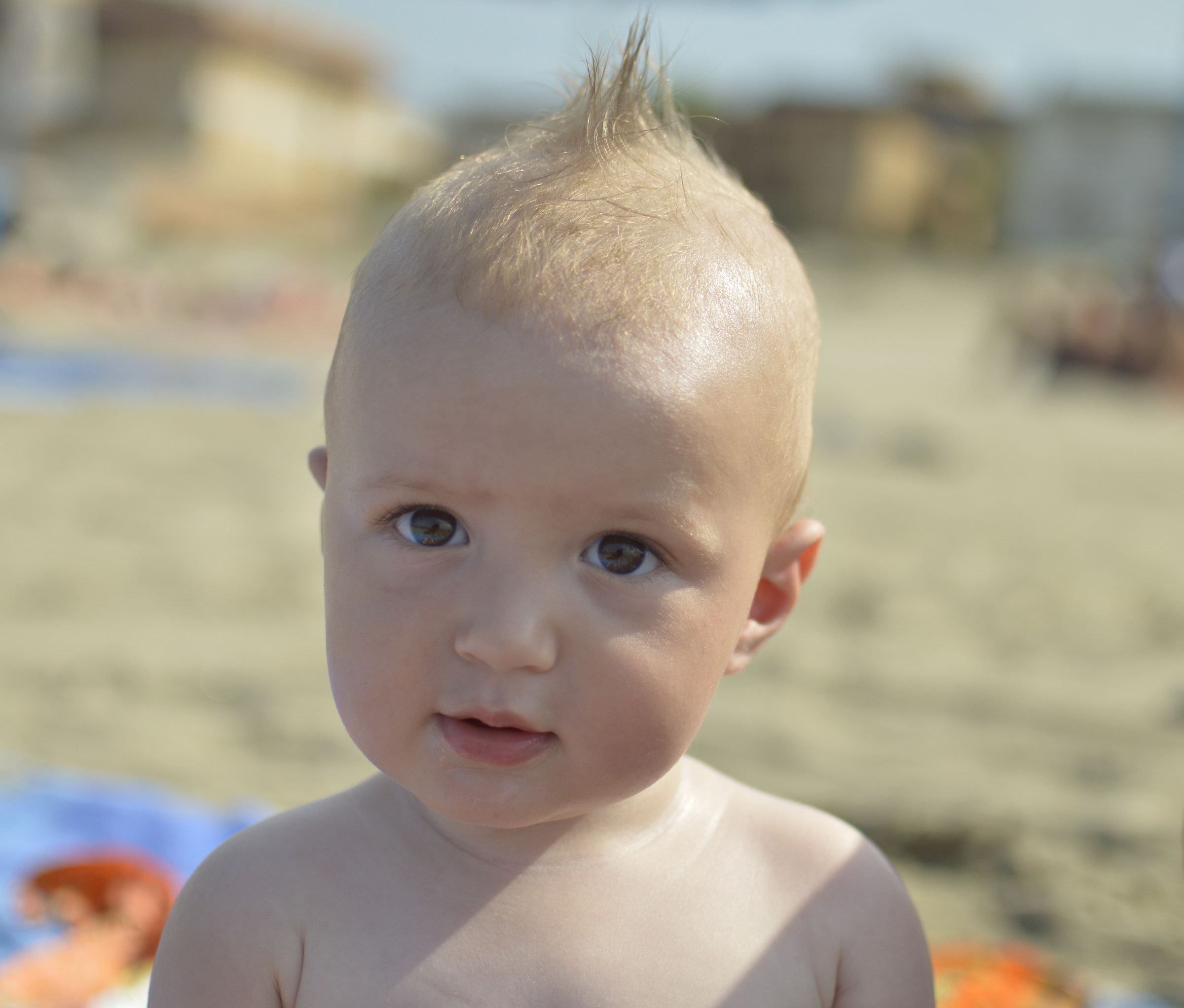 the last of the Mohicans