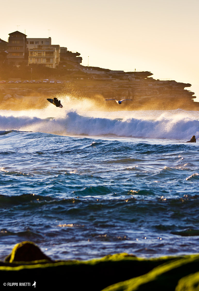Bondi Surfing ::