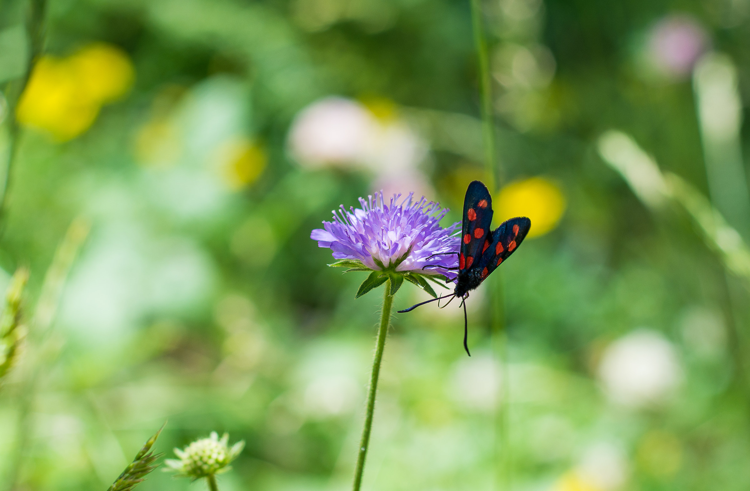 and you stop for a moment ...