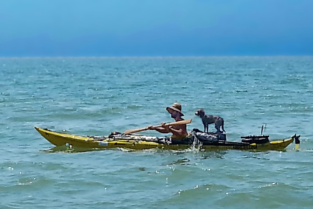 transport and transported