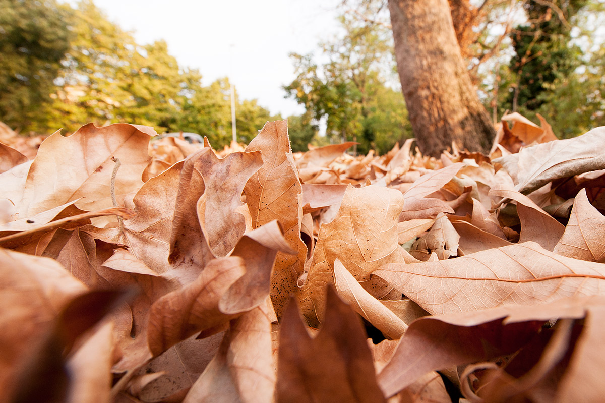 un luglio "autunnale