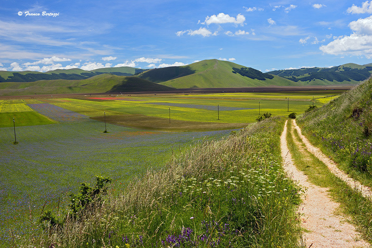 Castelluccio of Norcia 13