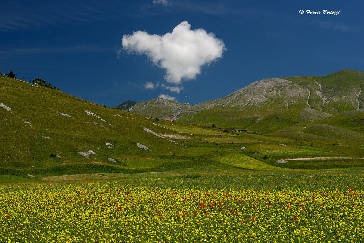 Castelluccio of Norcia 14