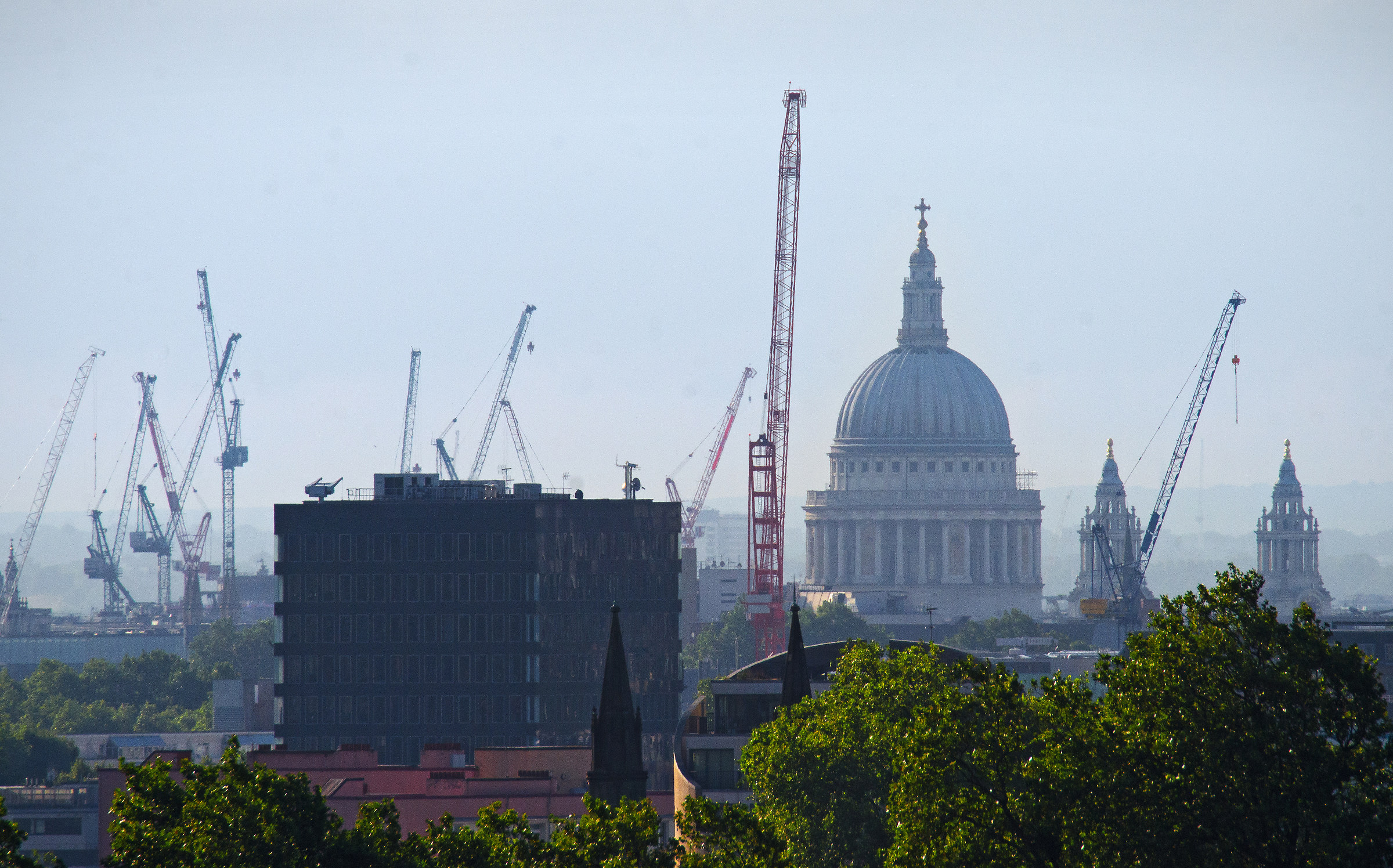 The Cranes of London...