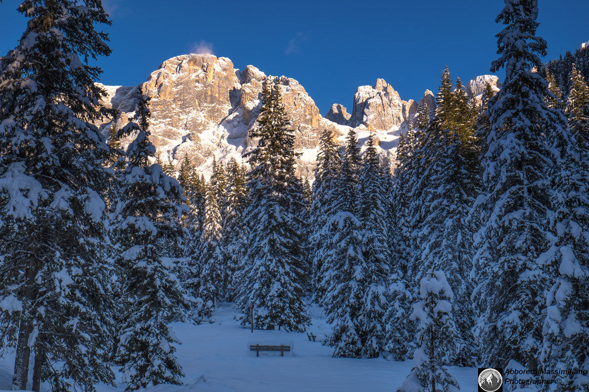 Boschi Dolomitici-Gruppo Pale San Martino