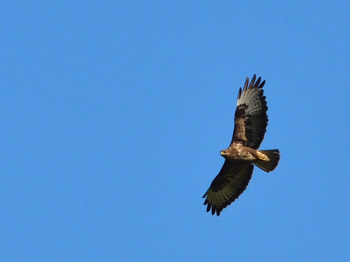 Poiana al Monte Generoso