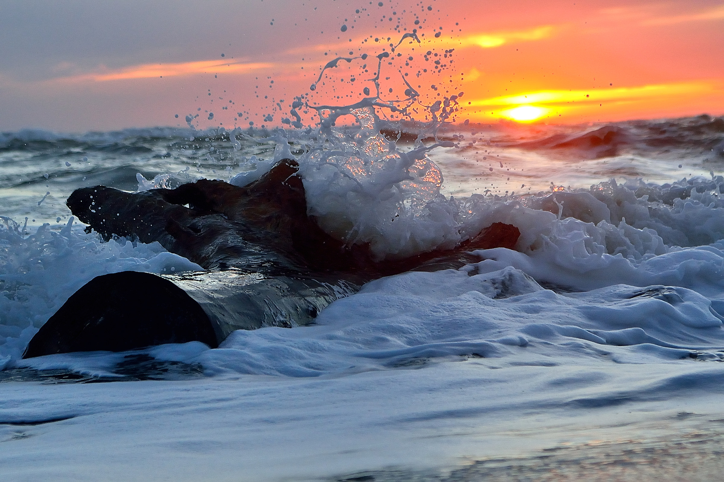 Costa selvaggia...Pescia Romana