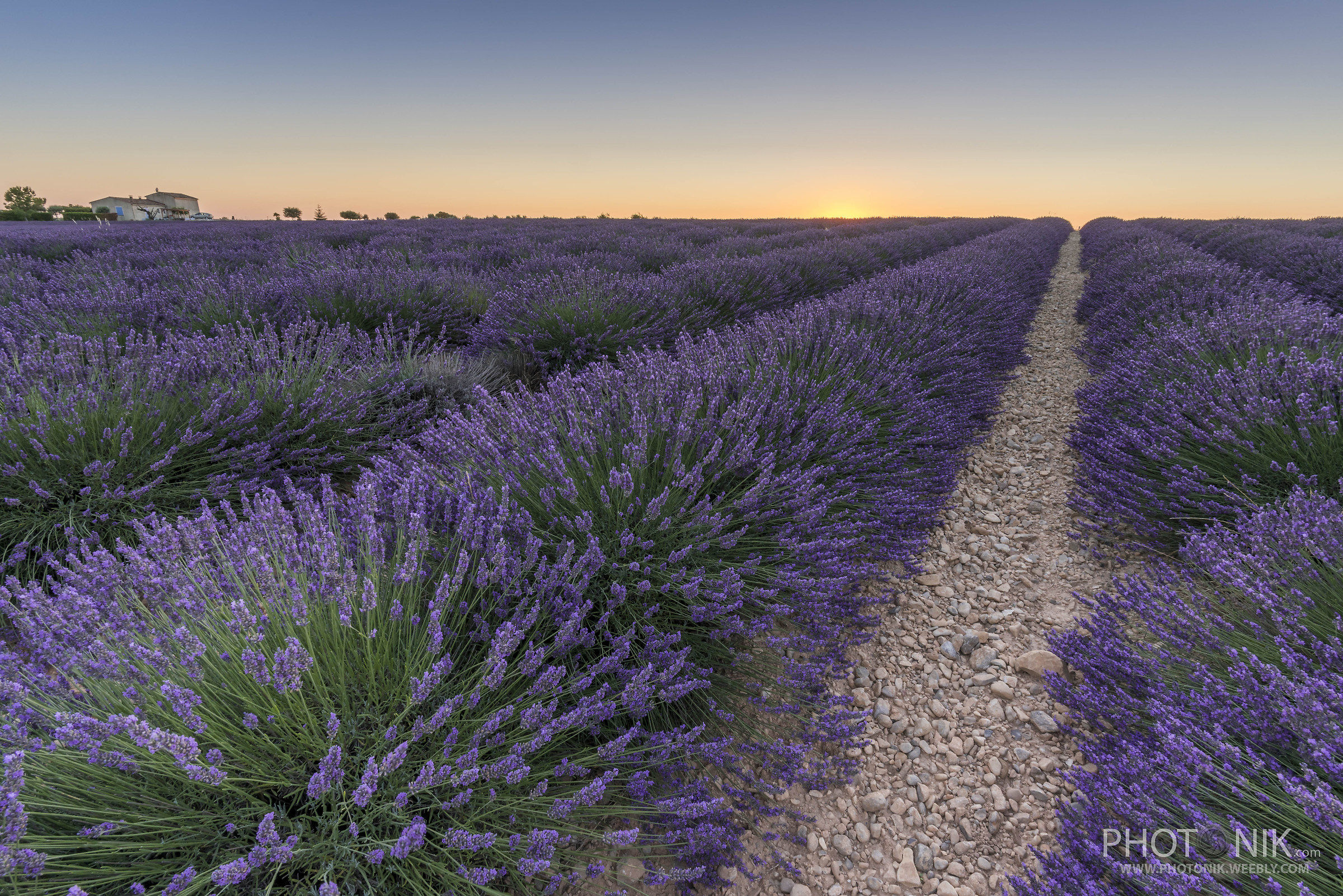 Tramonto alla lavanda