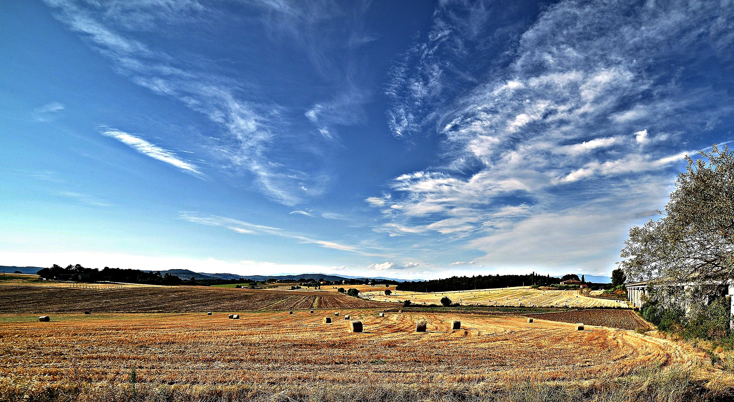 Colors of the countryside