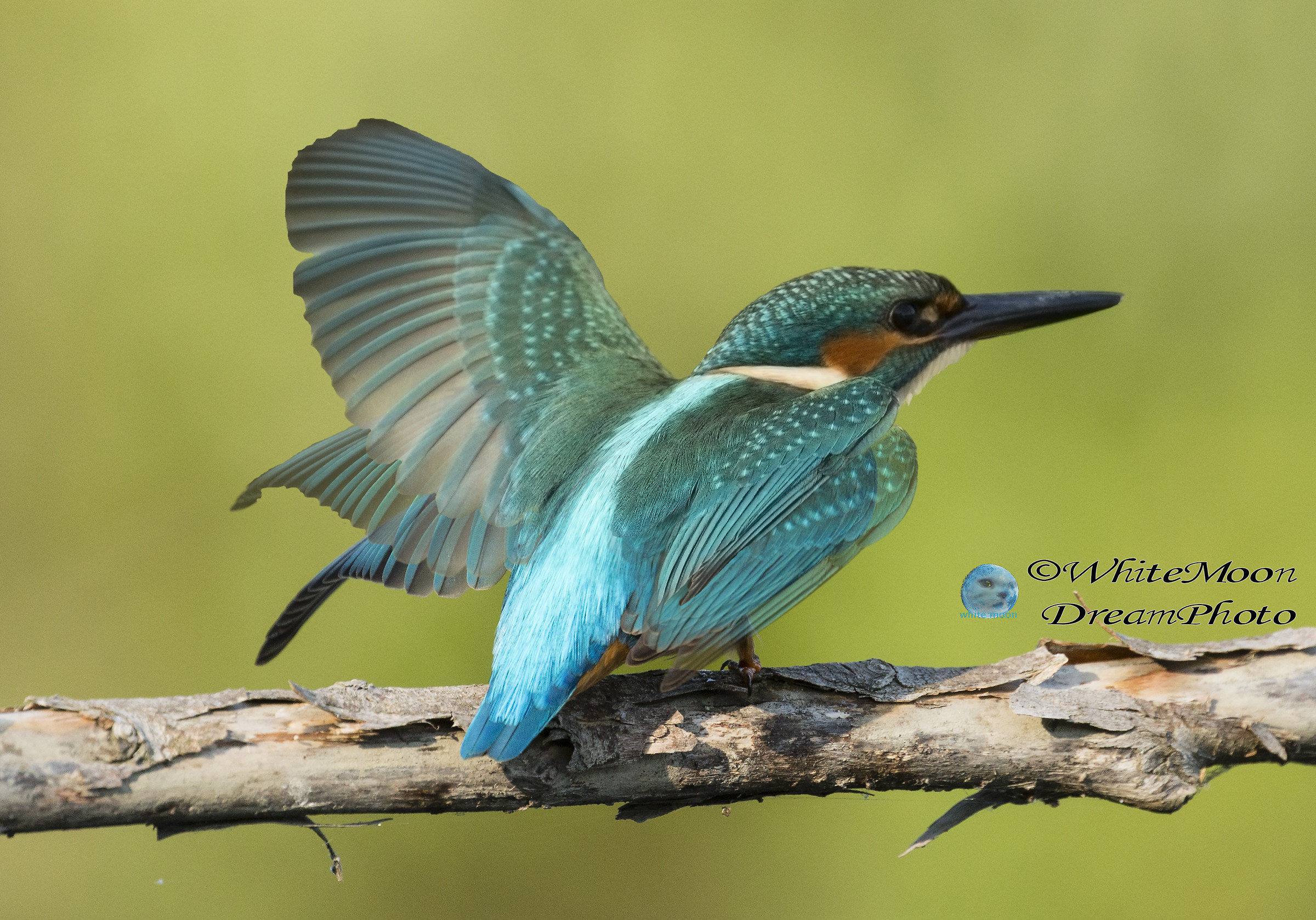 Quello che l'occhio non percepisce