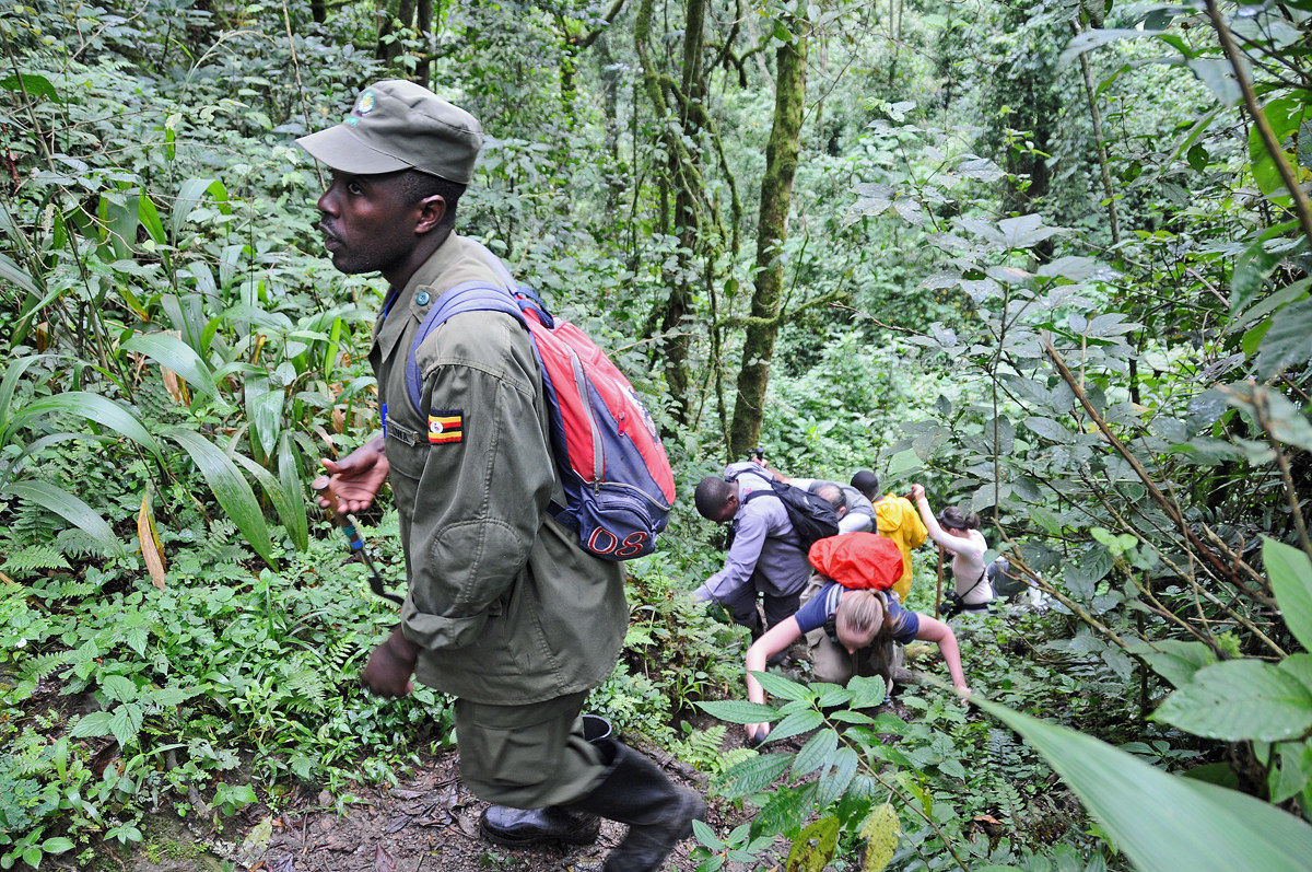 Bwindi Impenetrable Park - Uganda