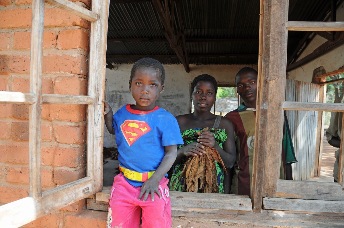 superman e la lavorazione del tabacco - Malawi