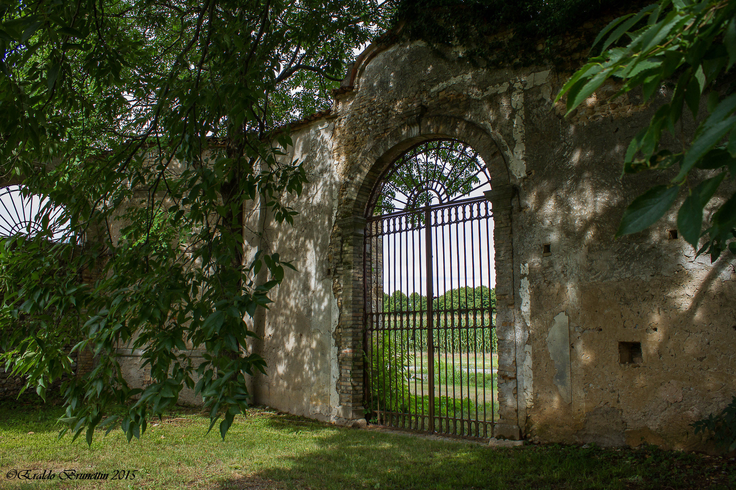 Particular Villa Manin (ud)