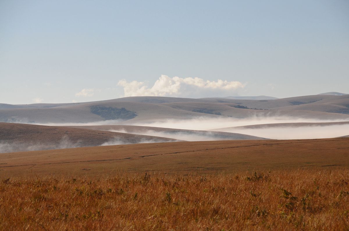 fog thinning in the park Nyika -Malawi