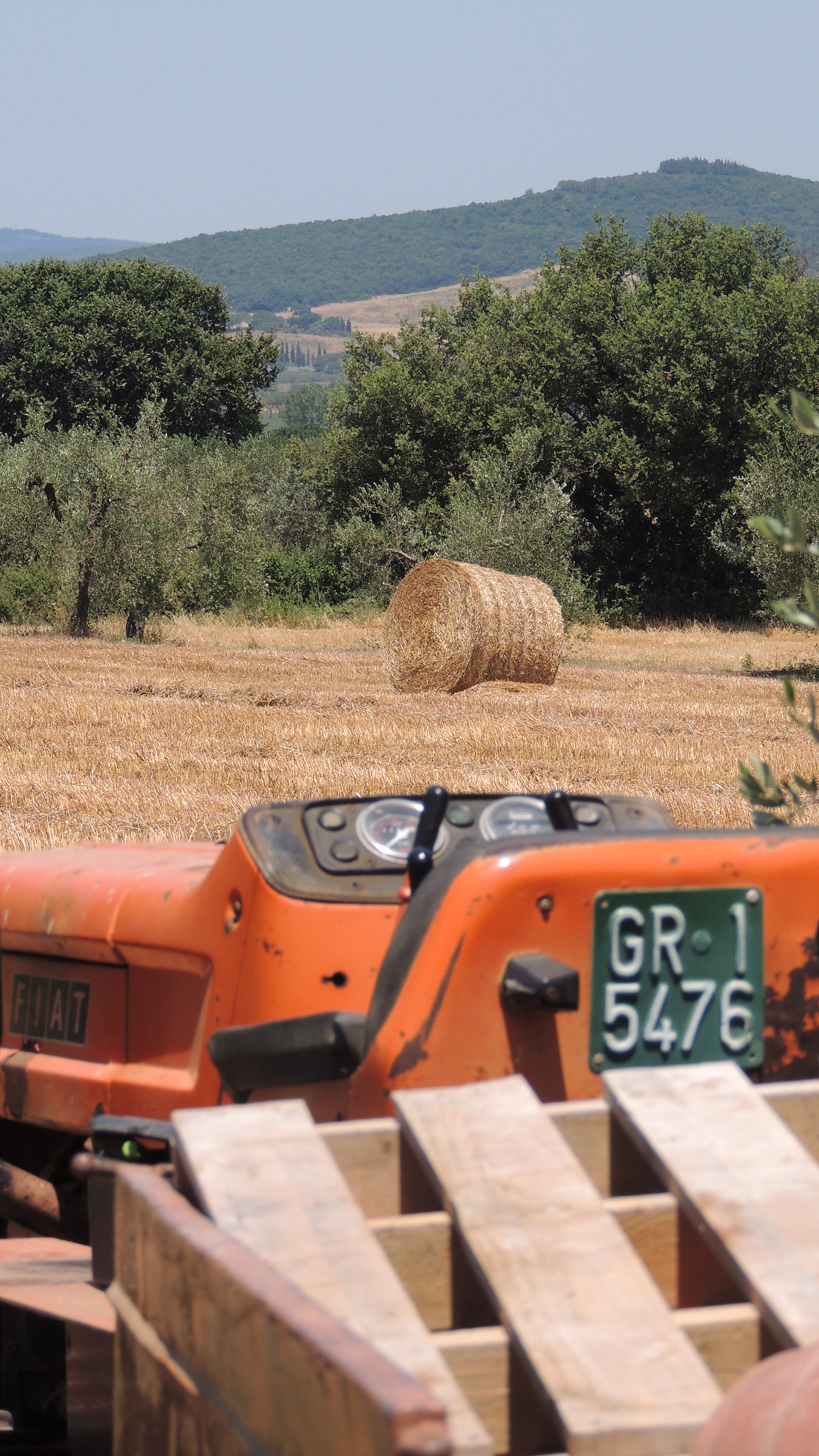 Se questa non è Maremma...