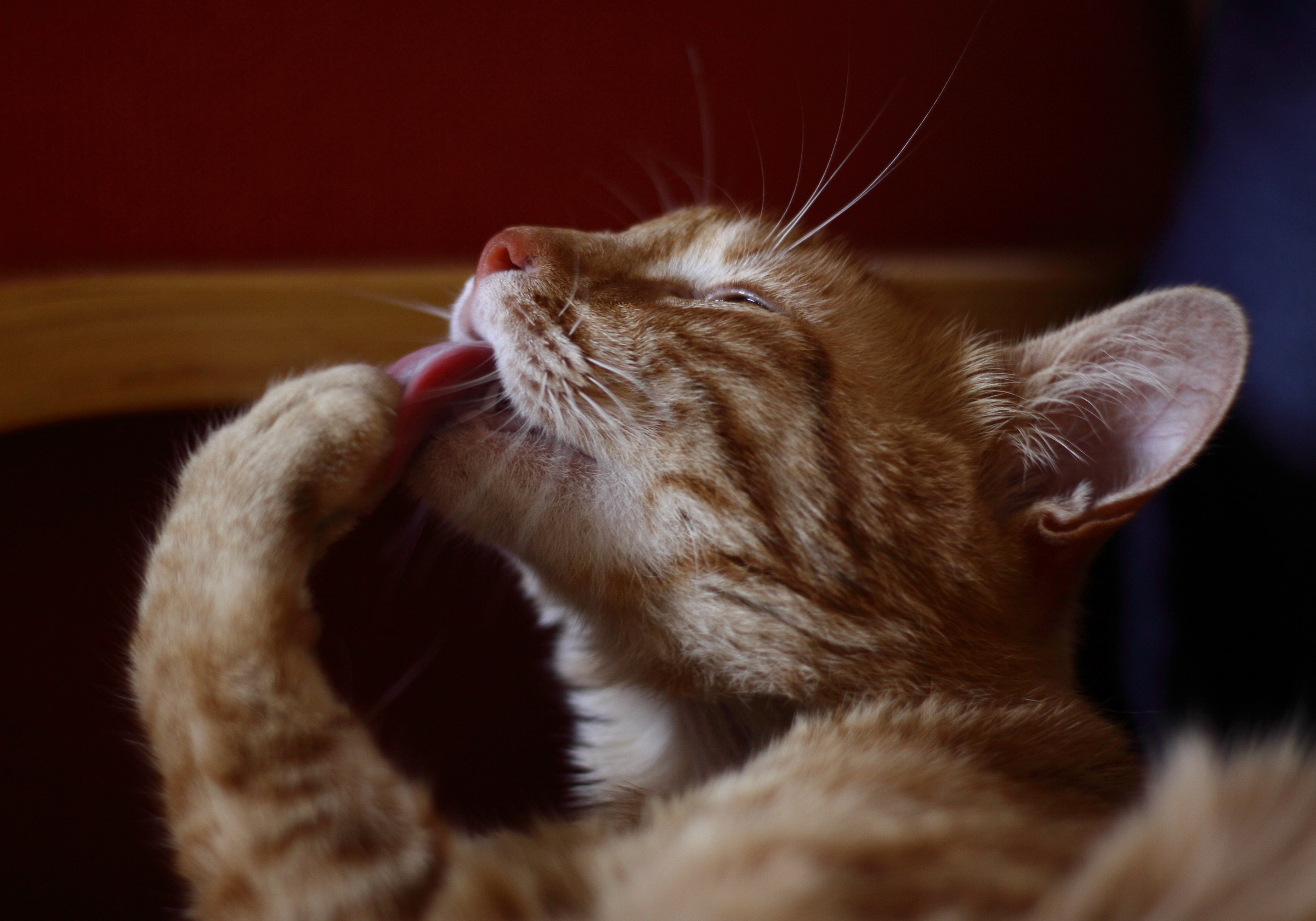 .. Swear ... I have eaten only a little !!! ...