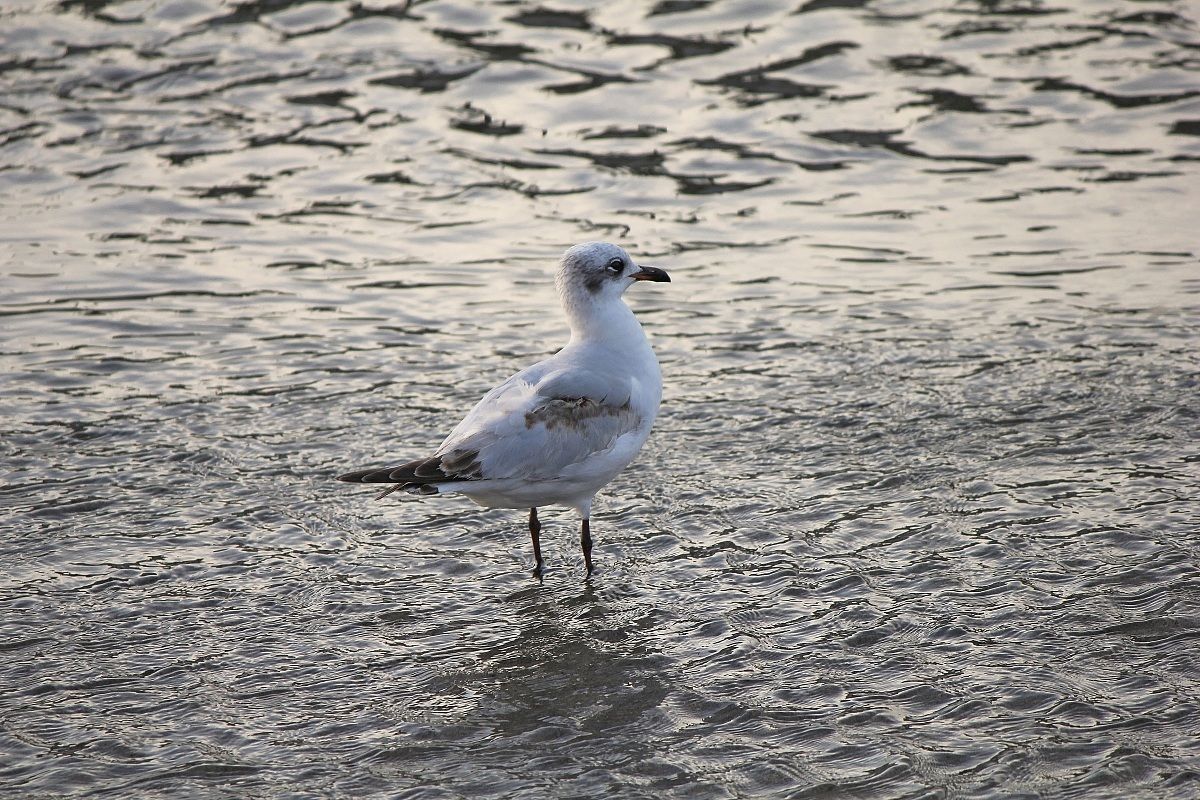 Waiting for the sunset over the sea!