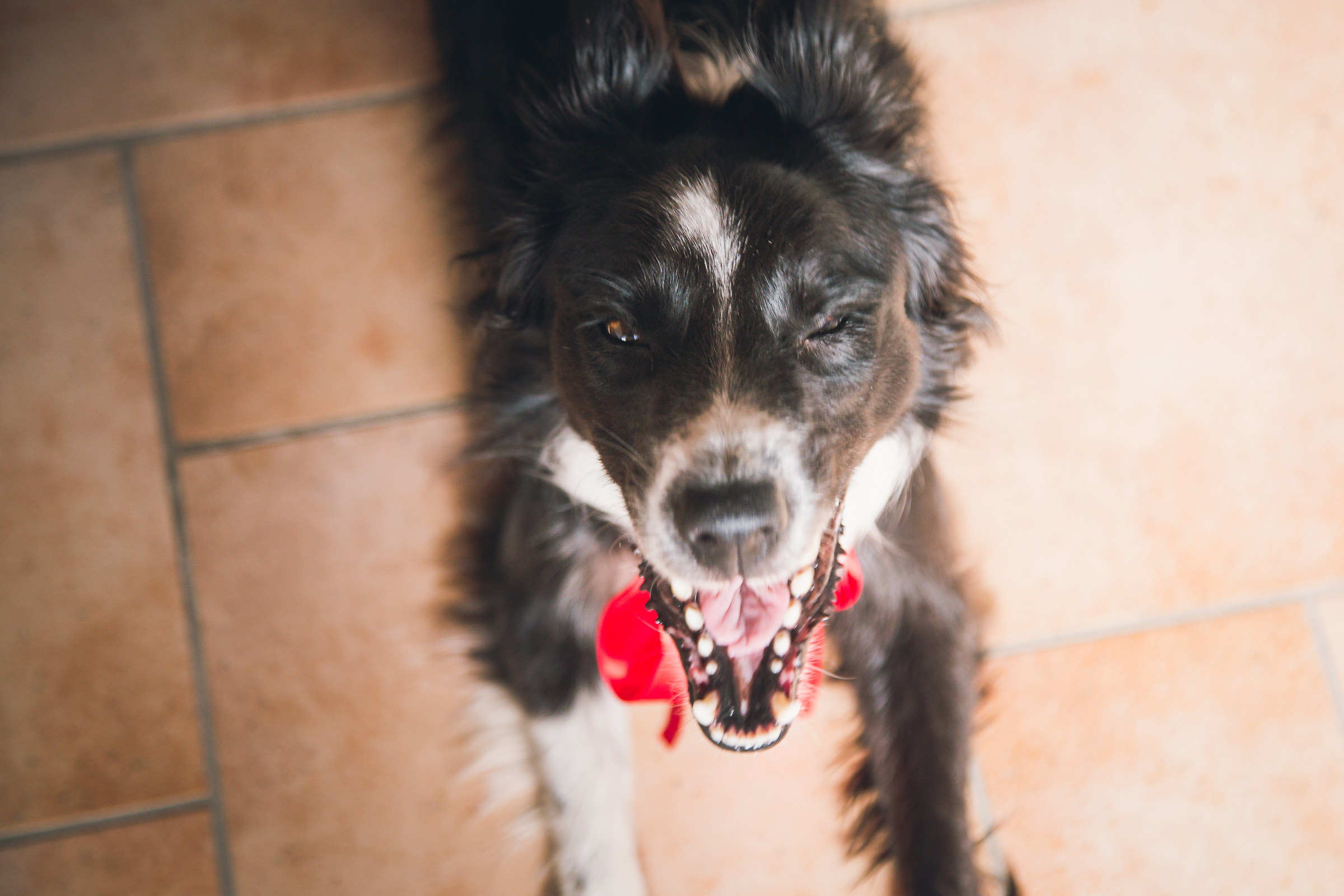 Birthday girl rocking