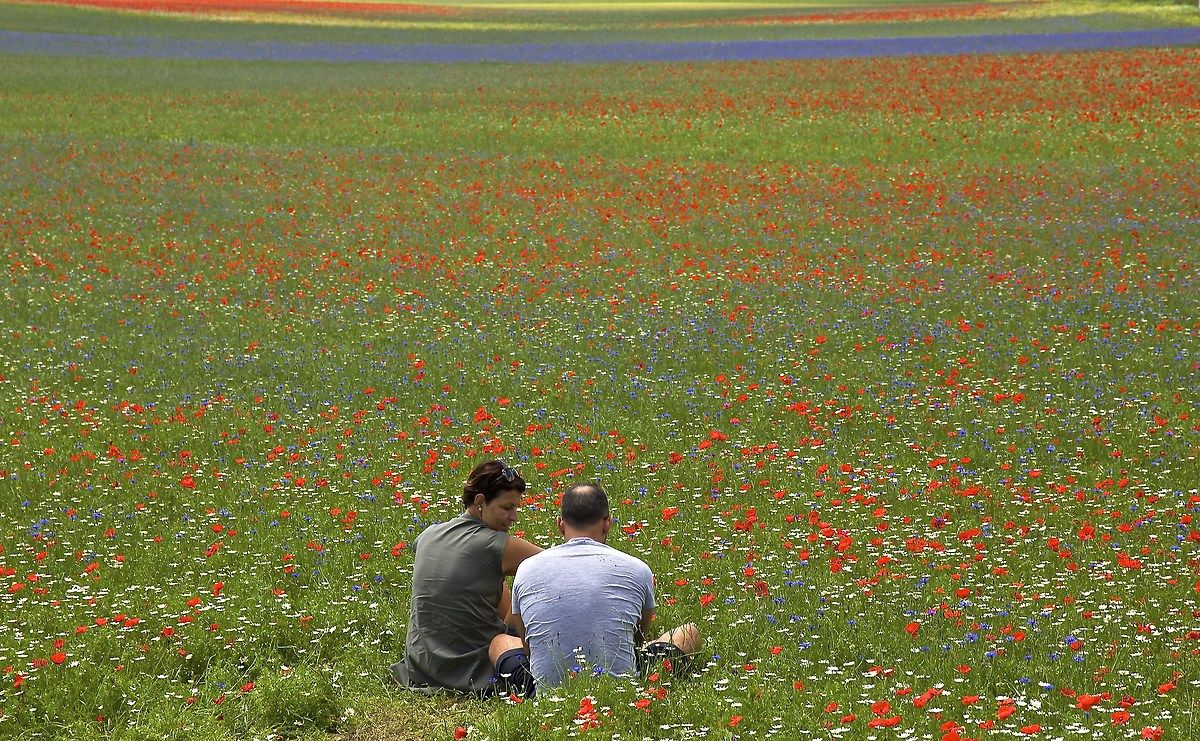 a love flourished .....