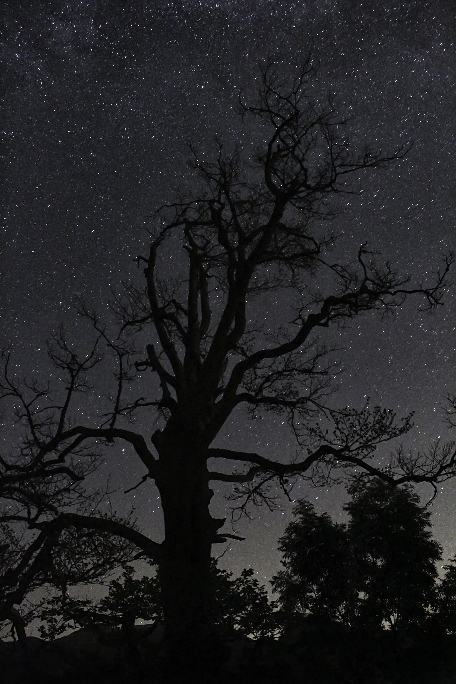 cielo stellato sul monte arera