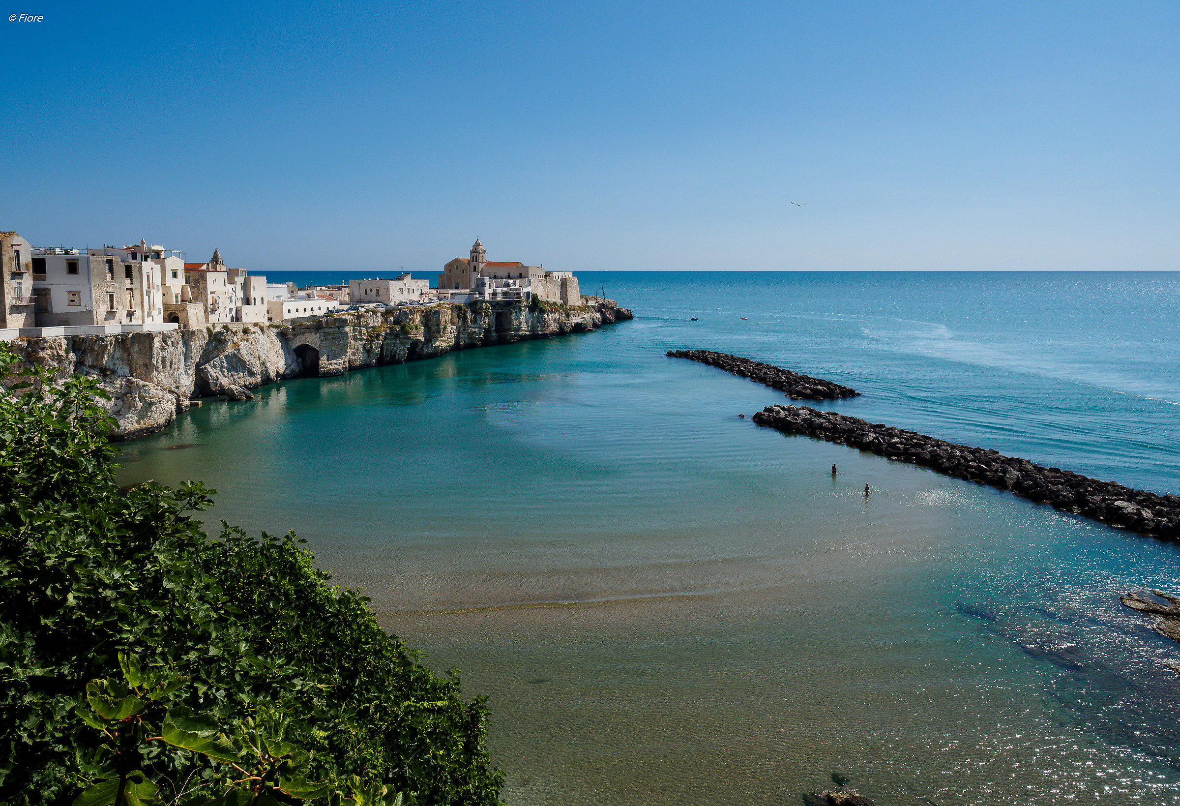 punta san Francesco Vieste