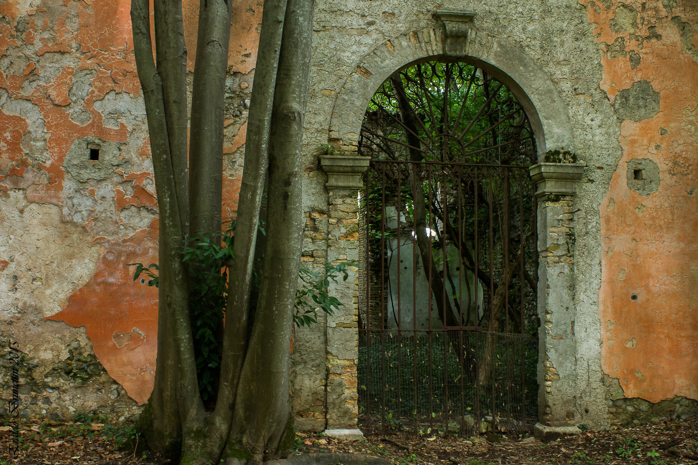 Particolare villa Manin