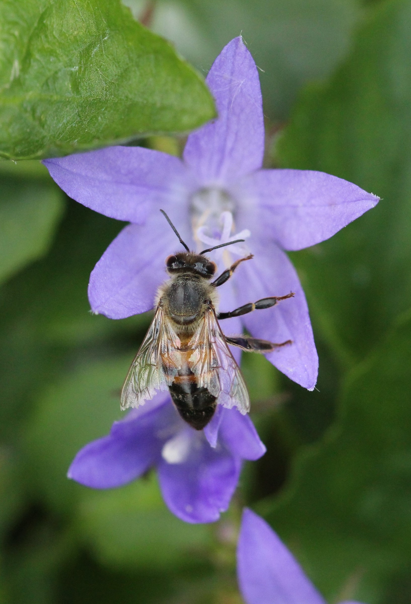 The working ... threadbare