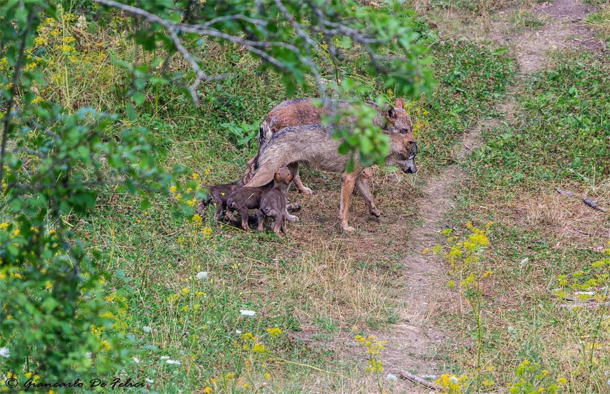 Mom, stop for a moment!