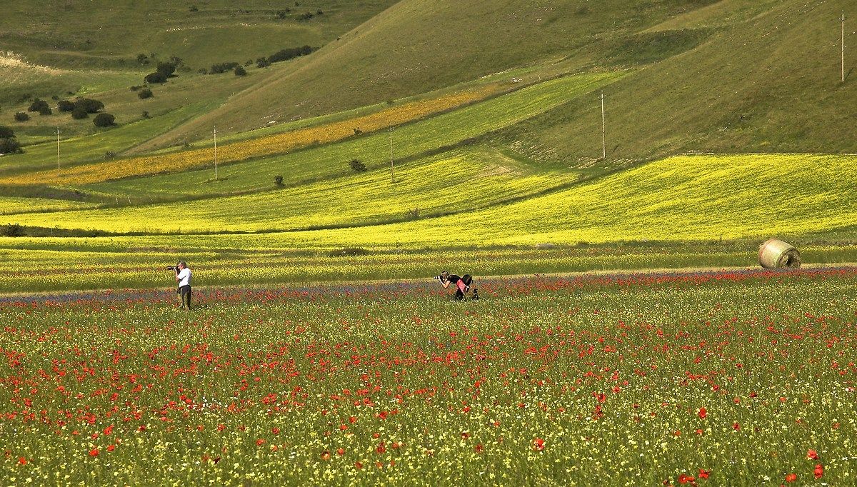 I thought I saw two photographers ....