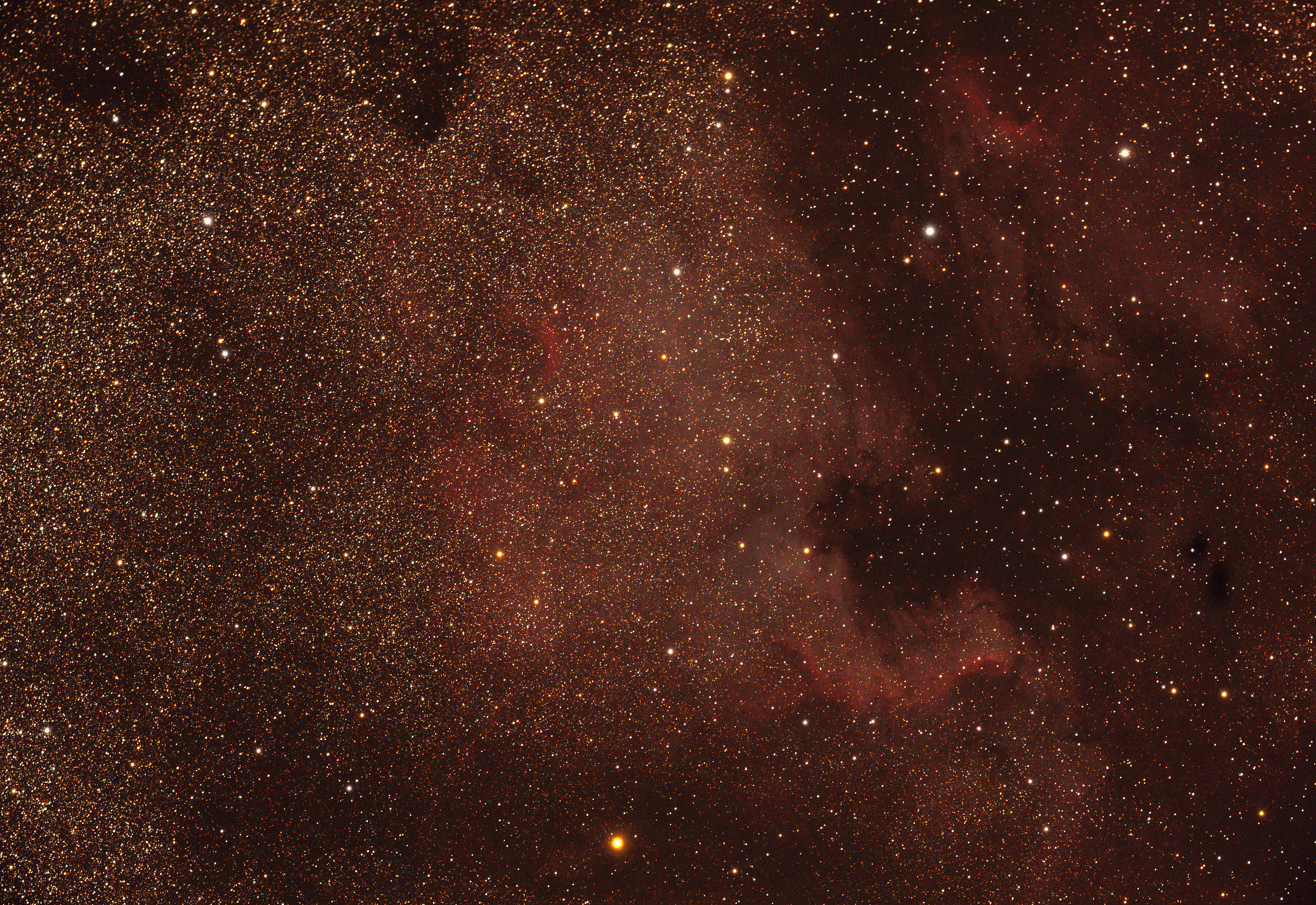 NGC7000 - North America Nebula