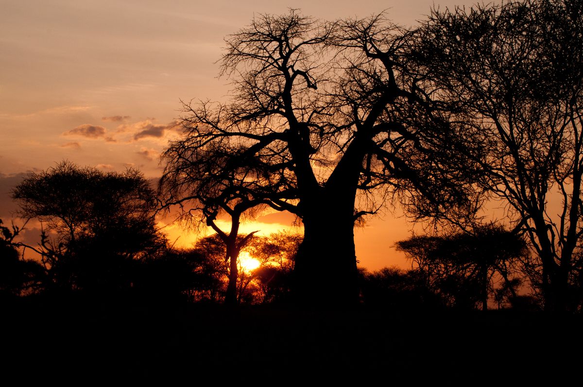 l'immancabile tramonto africano