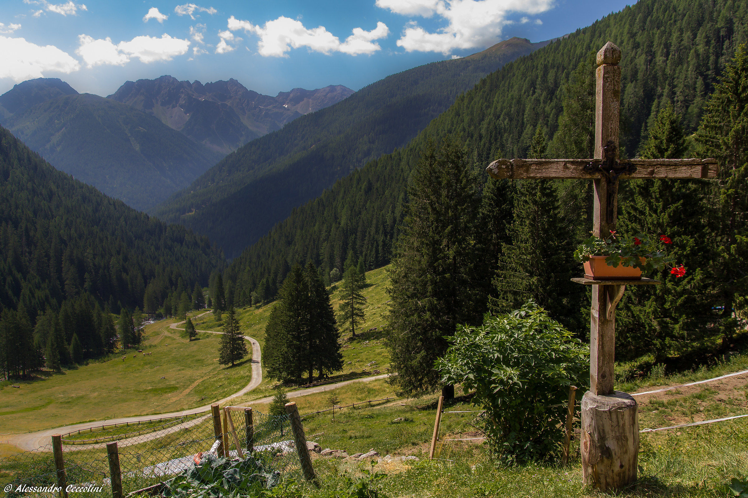 Val di Rabbi dalla Malga Stablasolo