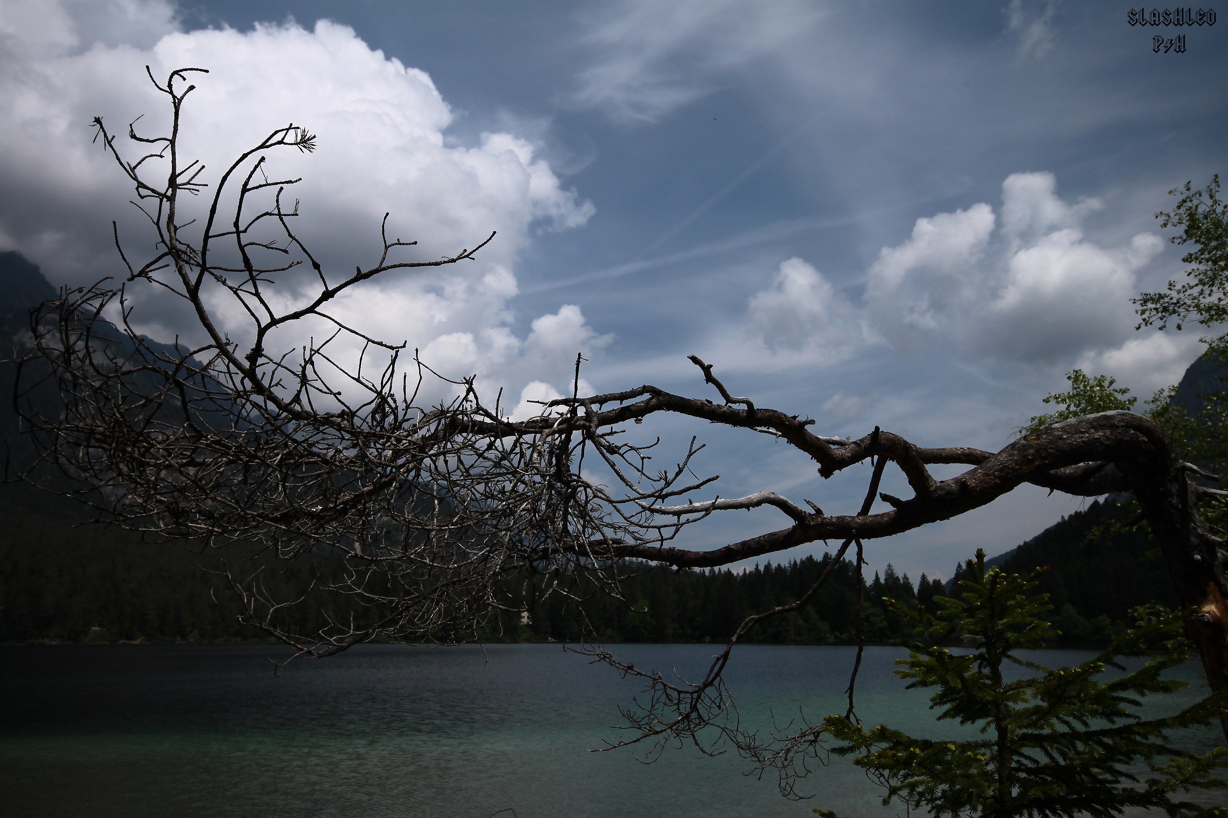 Prospettiva alternativa del Lago di Tovel