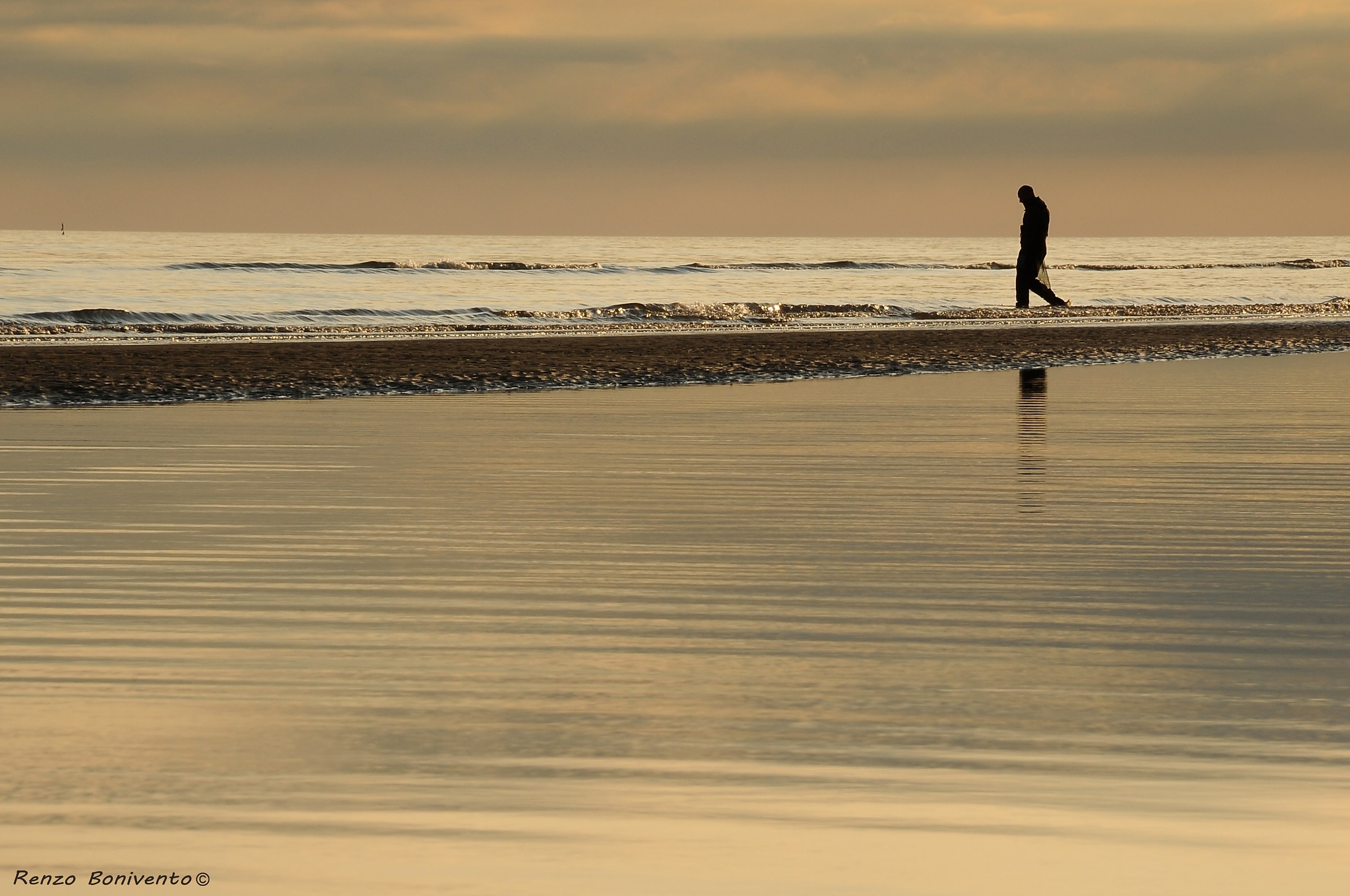 Stasera risotto di vongole ?