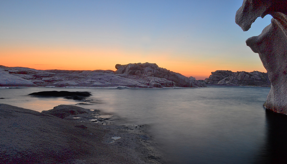 la testa dell'aquila dopo il tramonto, la Maddalena