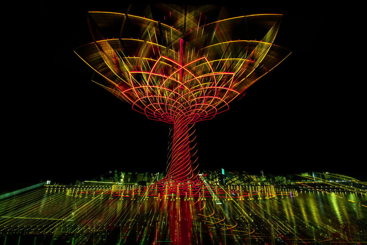 Expo: "Albero della vita" 1