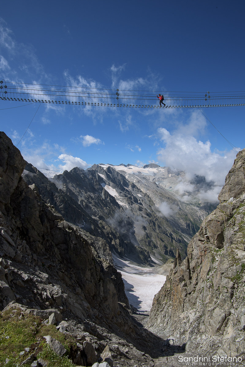 Sentiero dei Fiori - passerella Gendarme di Casamadre