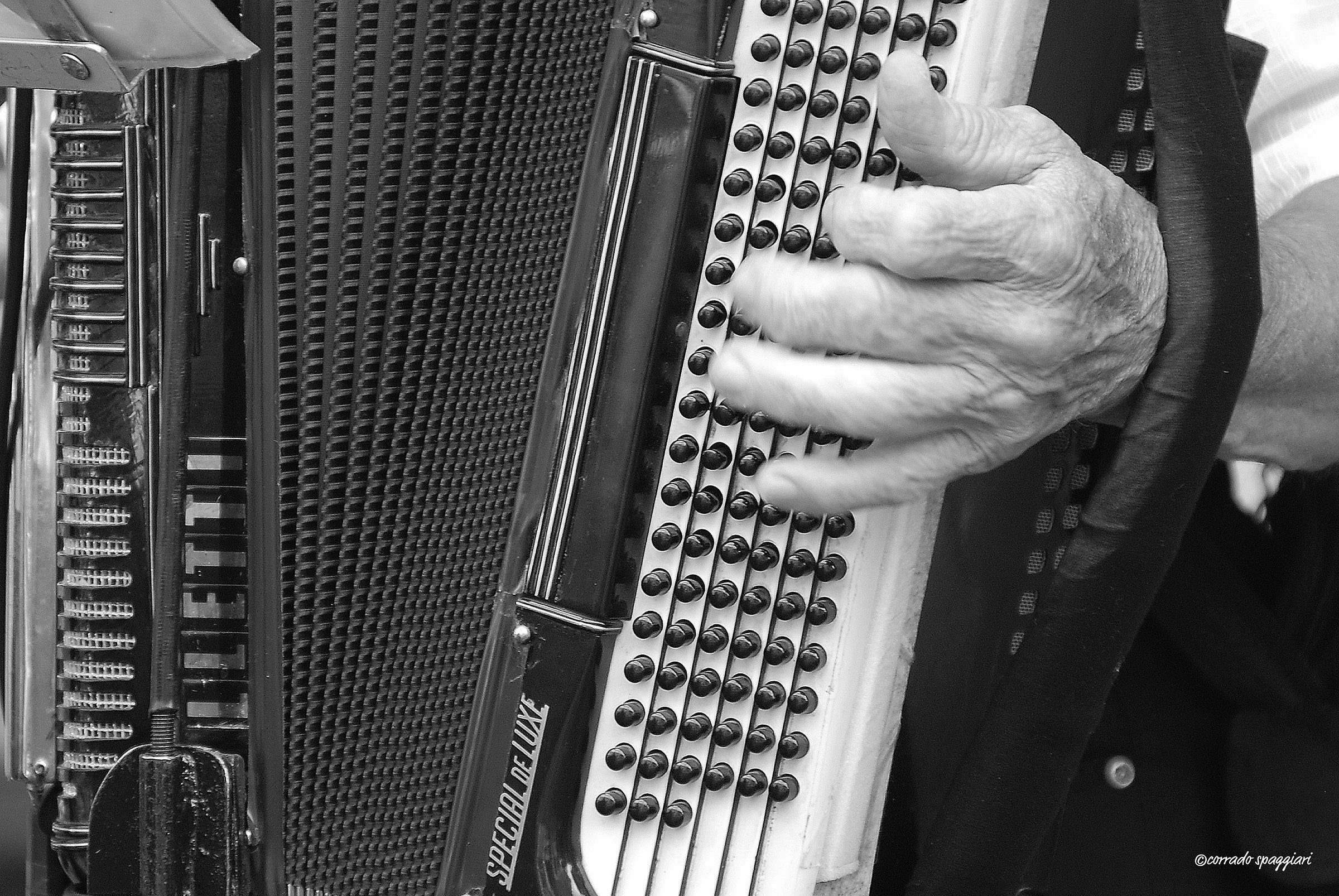 The accordion