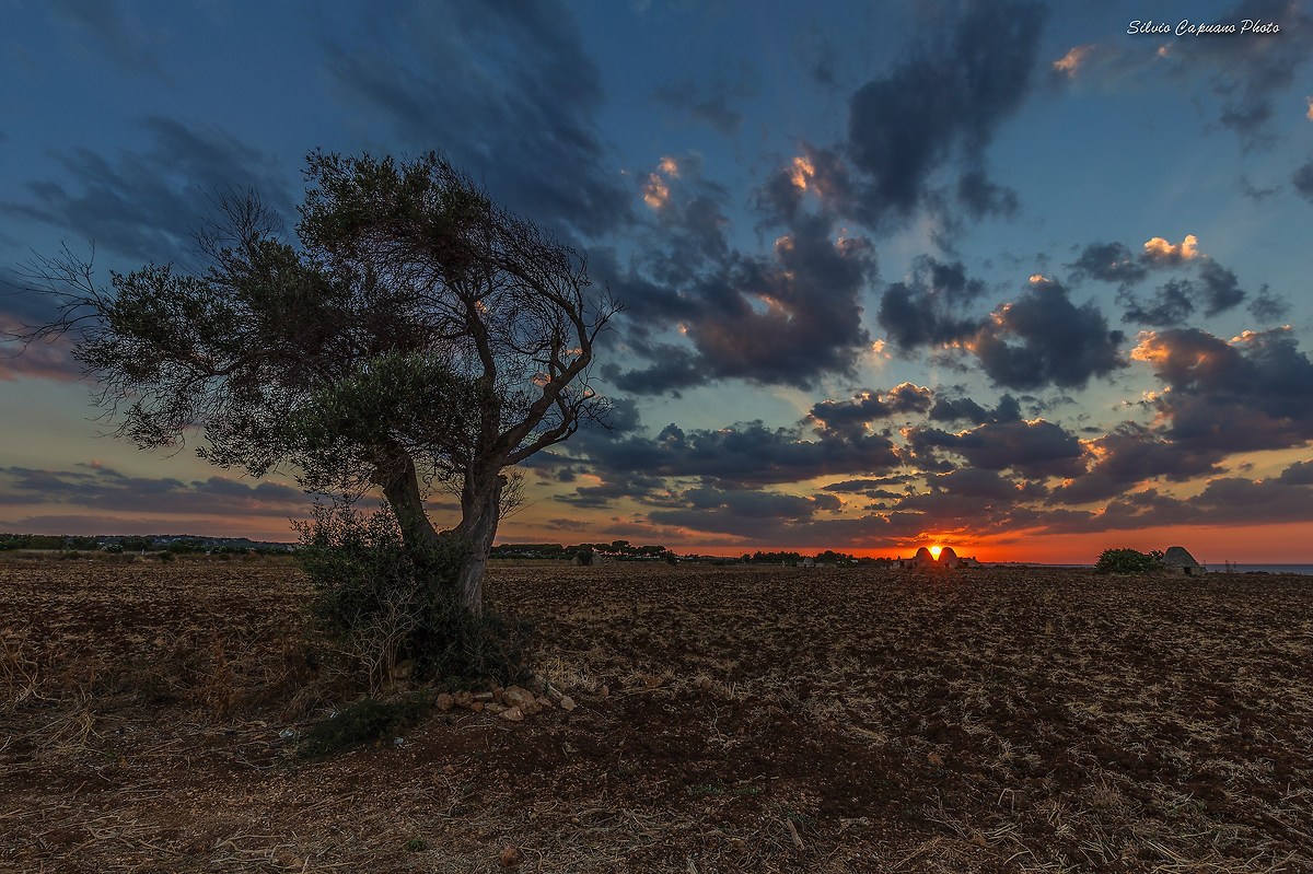 Explosion in the sky